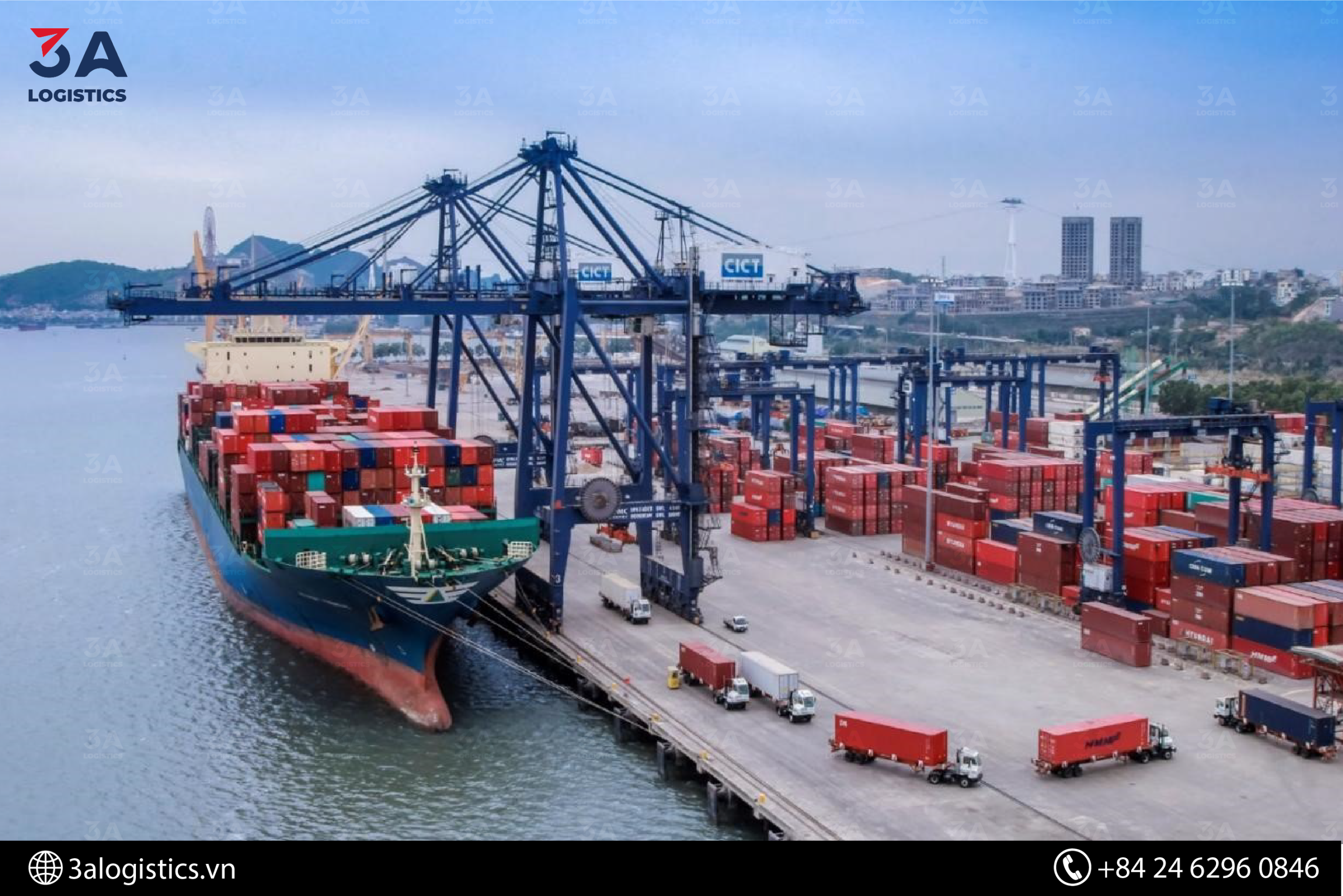 Số Lượt Tàu Tăng Tại Cảng Biển Việt Nam trong 9 Tháng Đầu Năm 2023