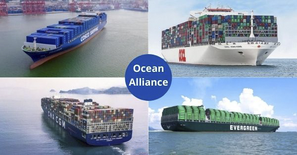 Carrier alliance analysis: Ocean Alliance expands on Asia-North Europe