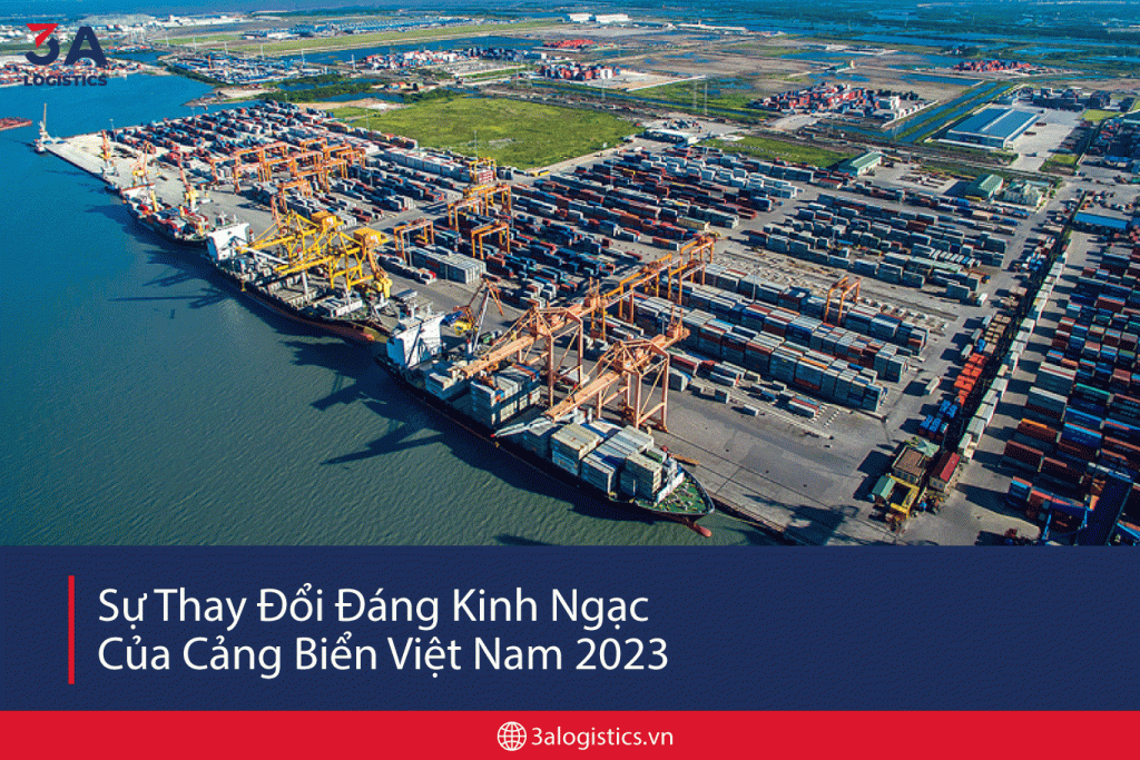 Biển Cảng Việt Nam: Sự Thay Đổi Đáng Kinh Ngạc trong Năm 2023