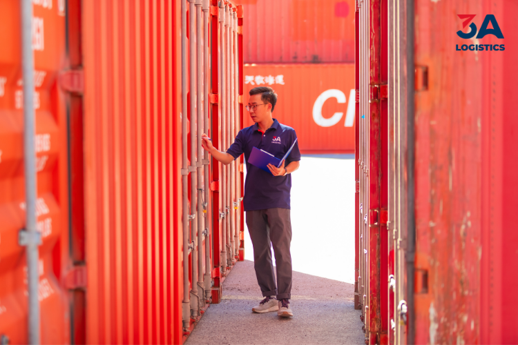 Freight Forwarder ở Việt Nam và vai trò hỗ trợ của 3A Logistics