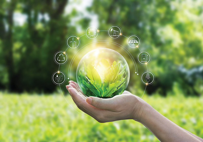Adapting to the European Green Deal: Challenges and Opportunities for Vietnamese Businesses in Sustainable Exports