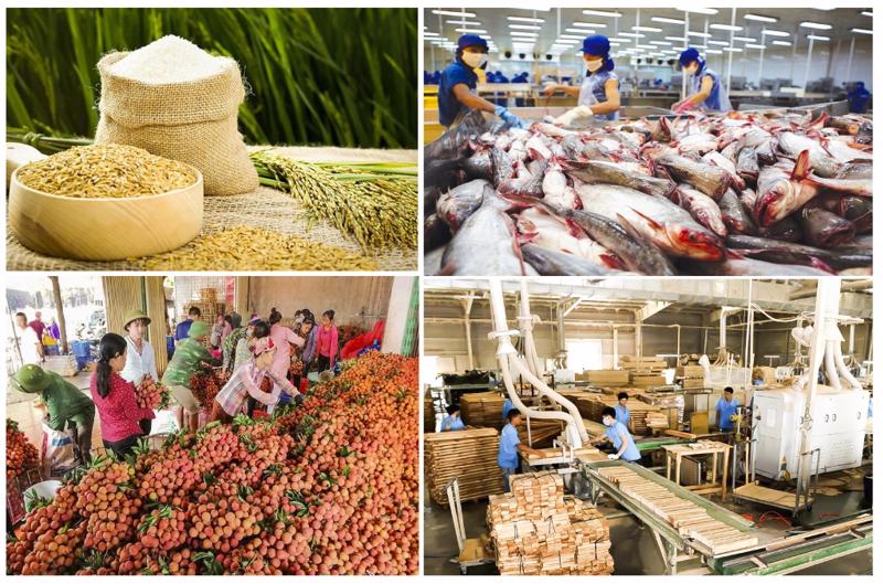 Xuất Khẩu Trung Quốc: Thị Trường Không Còn “Dễ Tính”