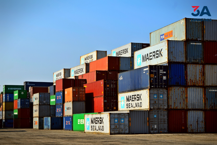 Phân loại Freight Forwarder phổ biến hiện nay